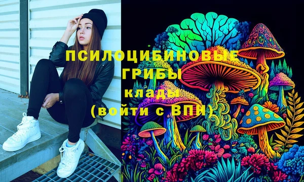 крисы Бронницы