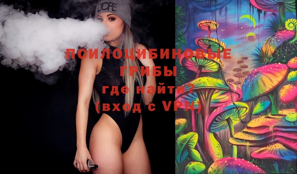 крисы Бронницы