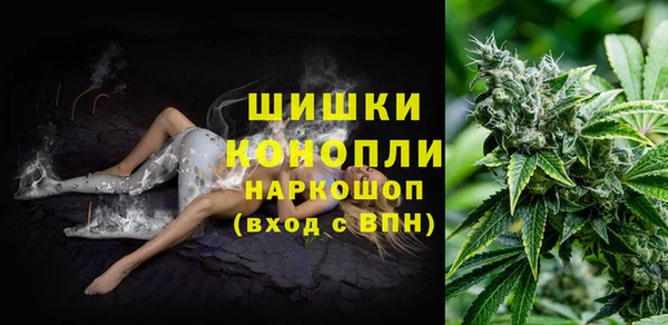 кокс Бородино