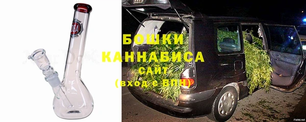 крисы Бронницы
